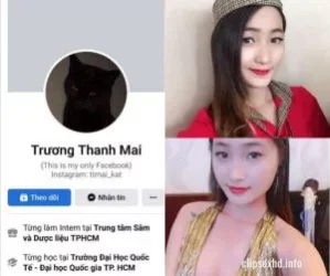 Truong-thanh-Mai-300x251.webp