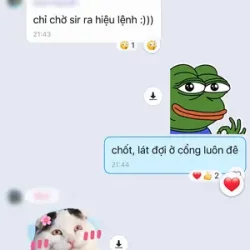 1225x2153_953c61bb673e2fcada02d7eee4ee1df4.webp
