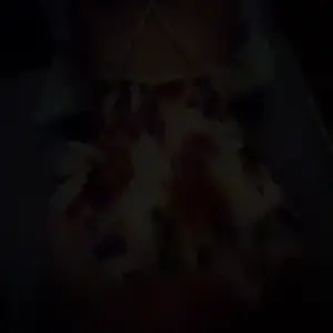 1133254_IMG_3491.mov